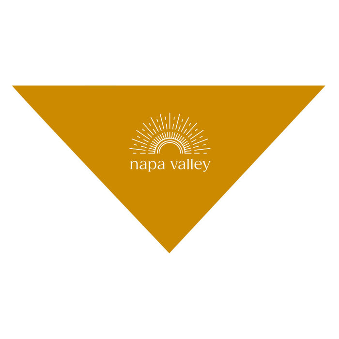 Custom Large Triangle Bandana – Personalized Pet Scarf