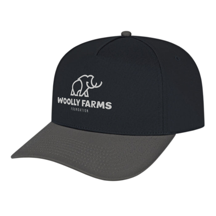 Custom BRAND / LOGO Cap America Poly/cotton 5 Panel Mid Profile Structured Hometown Cap