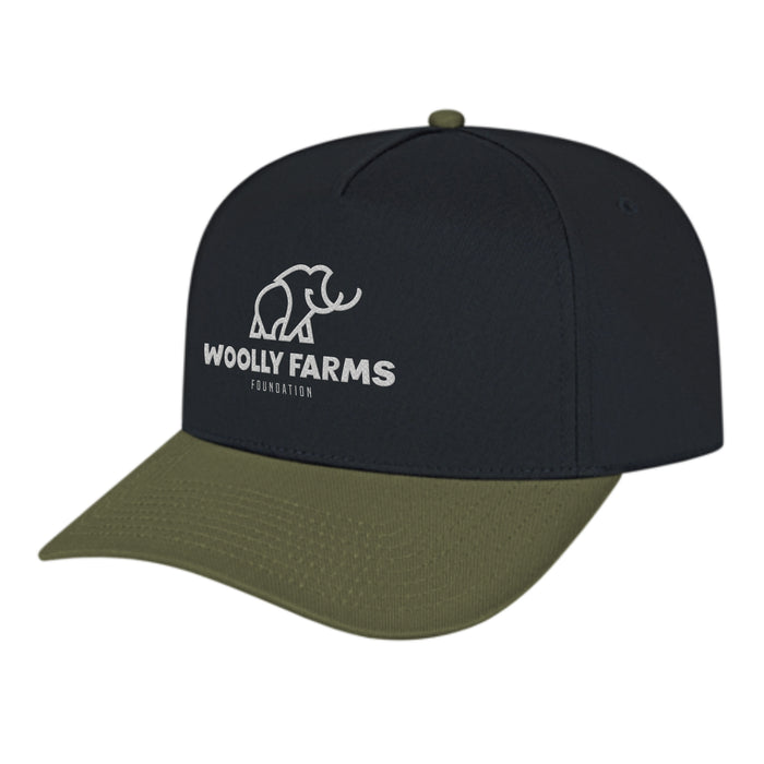 Custom BRAND / LOGO Cap America Poly/cotton 5 Panel Mid Profile Structured Hometown Cap