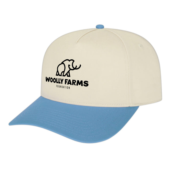 Custom BRAND / LOGO Cap America Poly/cotton 5 Panel Mid Profile Structured Hometown Cap