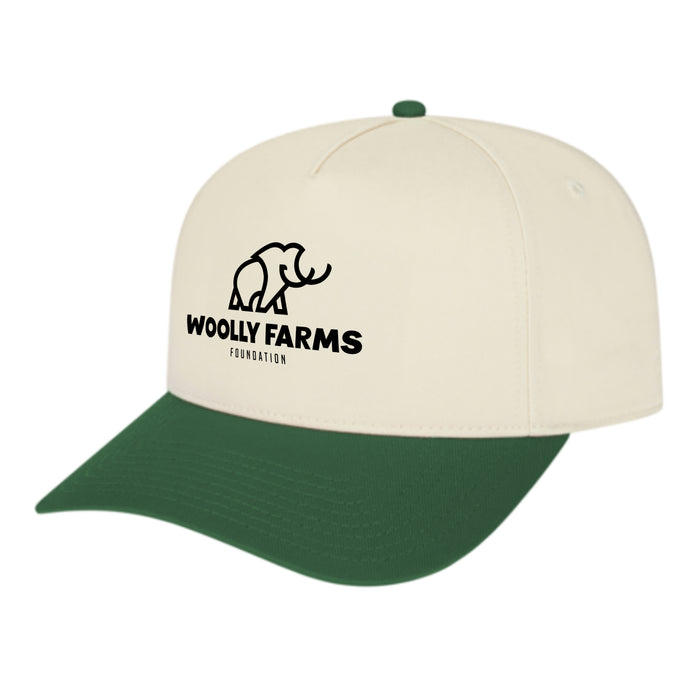 Custom BRAND / LOGO Cap America Poly/cotton 5 Panel Mid Profile Structured Hometown Cap