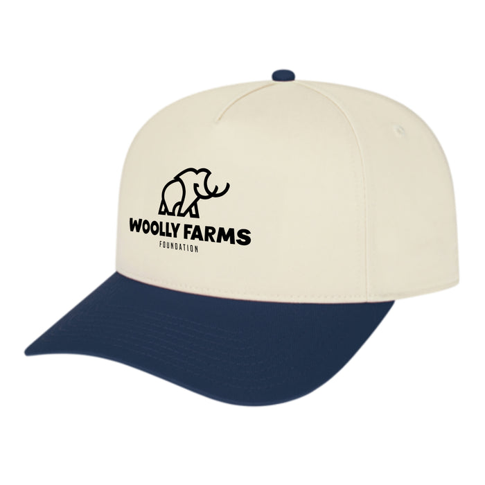 Custom BRAND / LOGO Cap America Poly/cotton 5 Panel Mid Profile Structured Hometown Cap