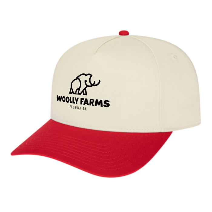Custom BRAND / LOGO Cap America Poly/cotton 5 Panel Mid Profile Structured Hometown Cap