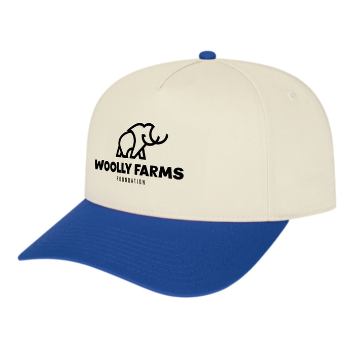 Custom BRAND / LOGO Cap America Poly/cotton 5 Panel Mid Profile Structured Hometown Cap