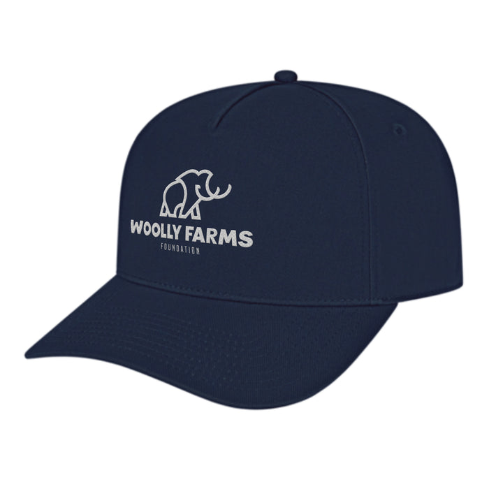 Custom BRAND / LOGO Cap America Poly/cotton 5 Panel Mid Profile Structured Hometown Cap