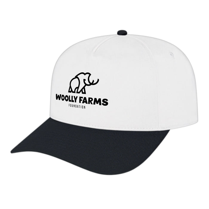 Custom BRAND / LOGO Cap America Poly/cotton 5 Panel Mid Profile Structured Hometown Cap
