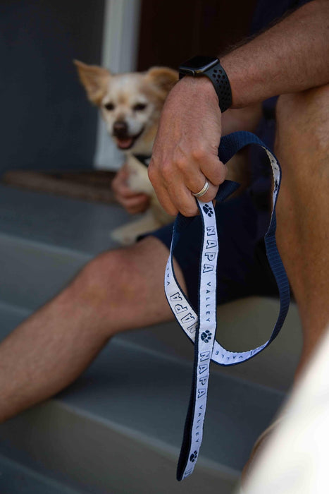 1" Dog Leash 6 ft. Printed with a Customizable BLOCK SPORT COLLECTION Design - Mercantile 12