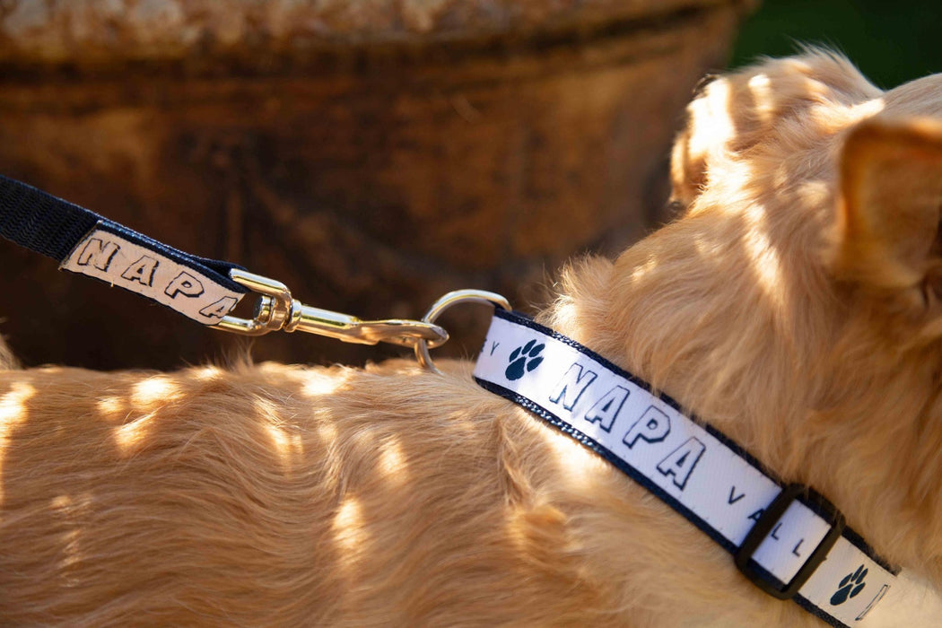 1" Dog Collar Printed with a Customizable SQUARES COLLECTION Design - Mercantile 12